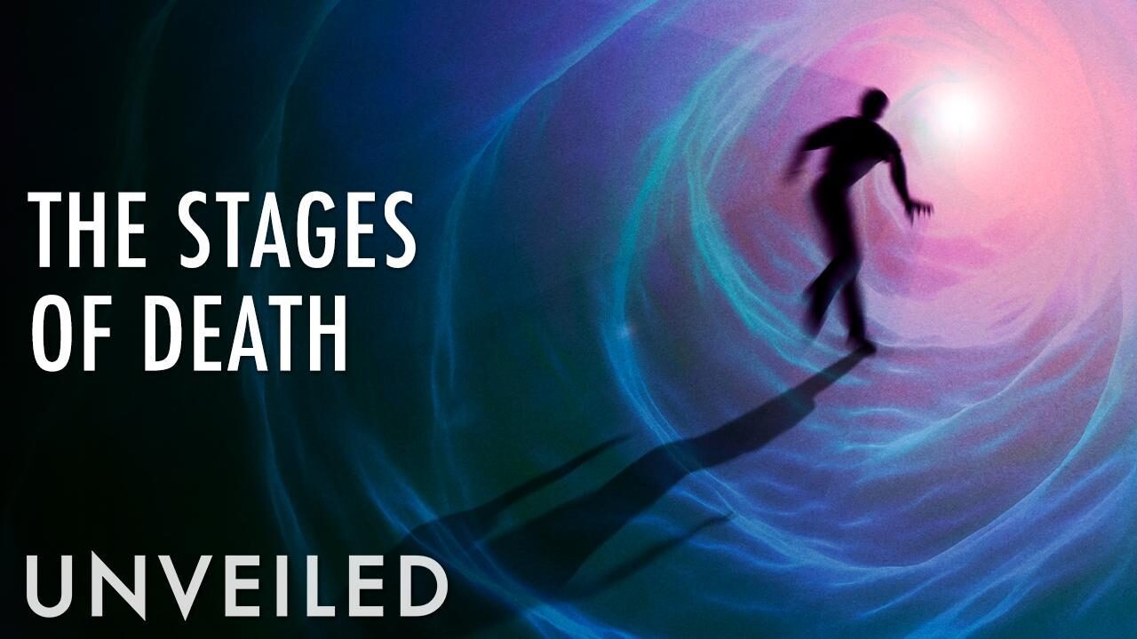What Happens When We Die? Smartech