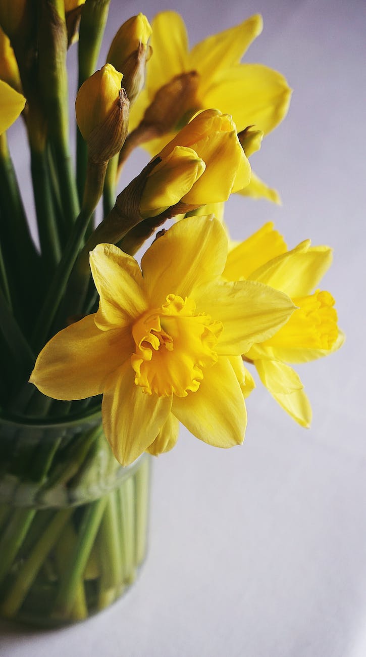 Daffodils Critical Appreciation in 500 Words Smart English Notes