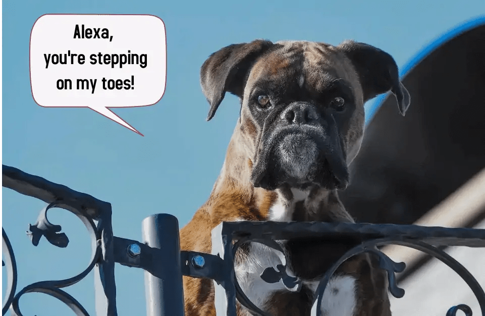 Alexa Guard What Is It And How Does It Work?