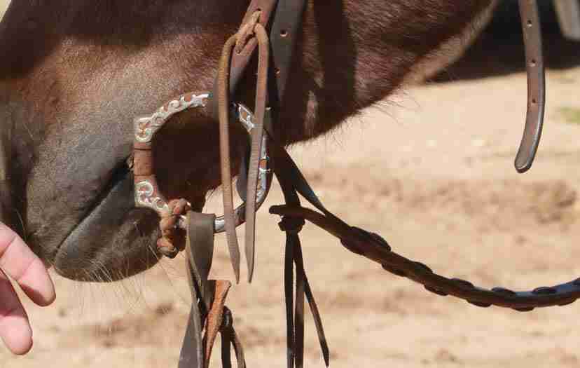 The Snaffle Bit Types, When & How To Use It Smarter Horse