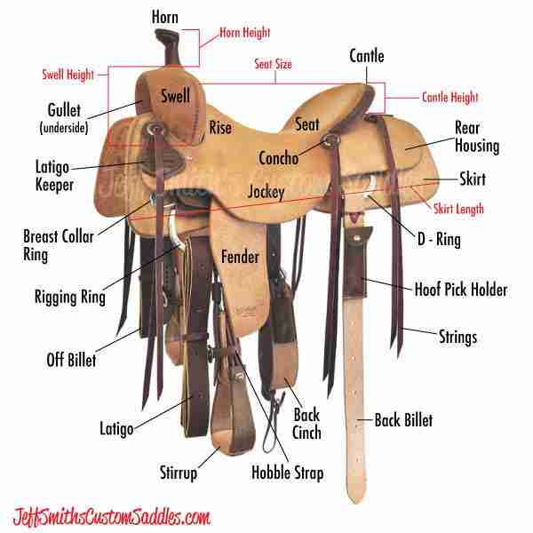 Horse Tack Western Horse Saddle Parts Explained Smarter Horse