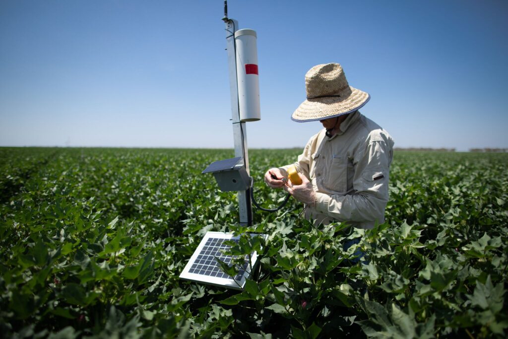 Smarter Irrigation for Profit Monitoring and Evaluation Economic Report