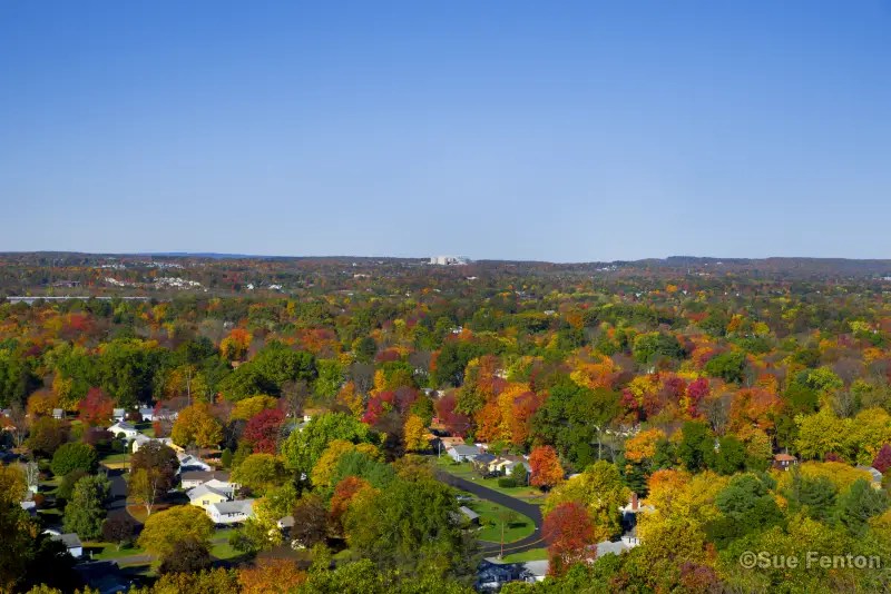 10 Best places to live in Connecticut for young adults Smart Explorer