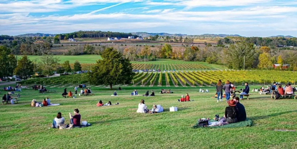 10 Best places to live in Tennessee for young adults & singles (2023