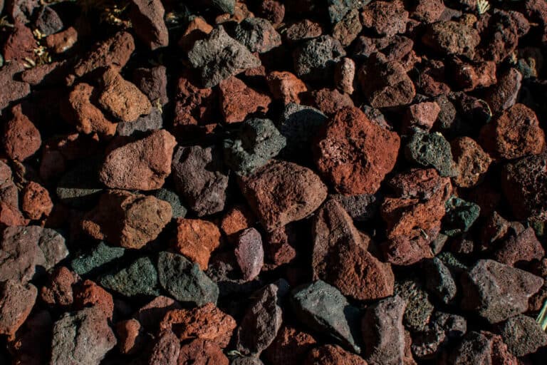 Best Growing Medium for Hydroponics All Types Smart Garden and Home