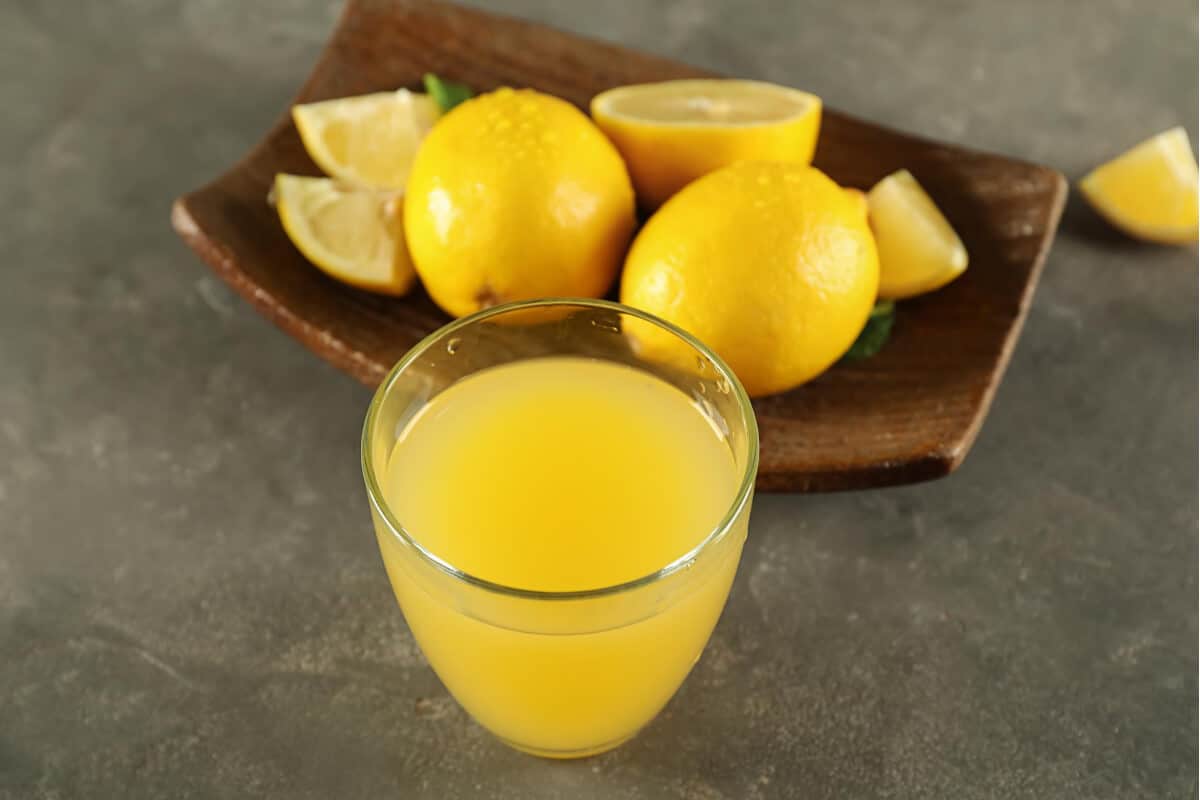 Are Ants on Strawberry Plants Bad? How to Keep Them Off? Smart Garden