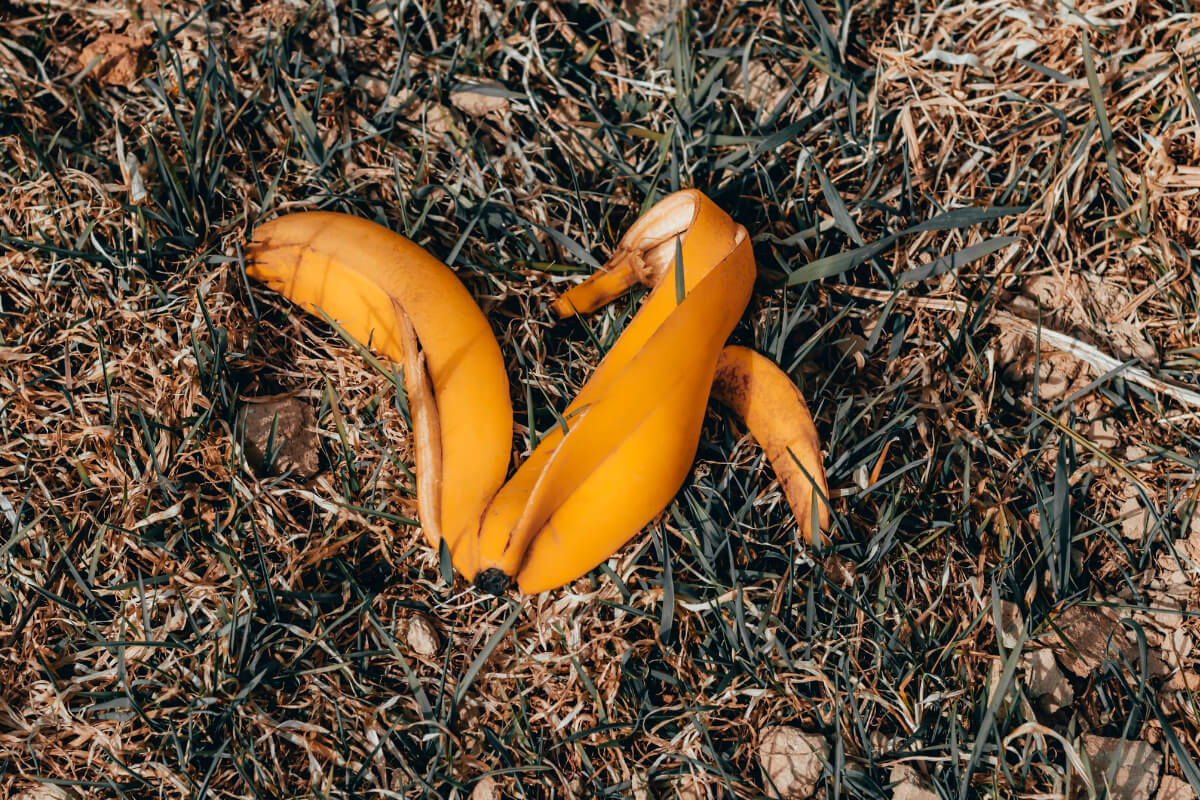 How Long Does It Take a Banana Peel to Smart Garden and Home