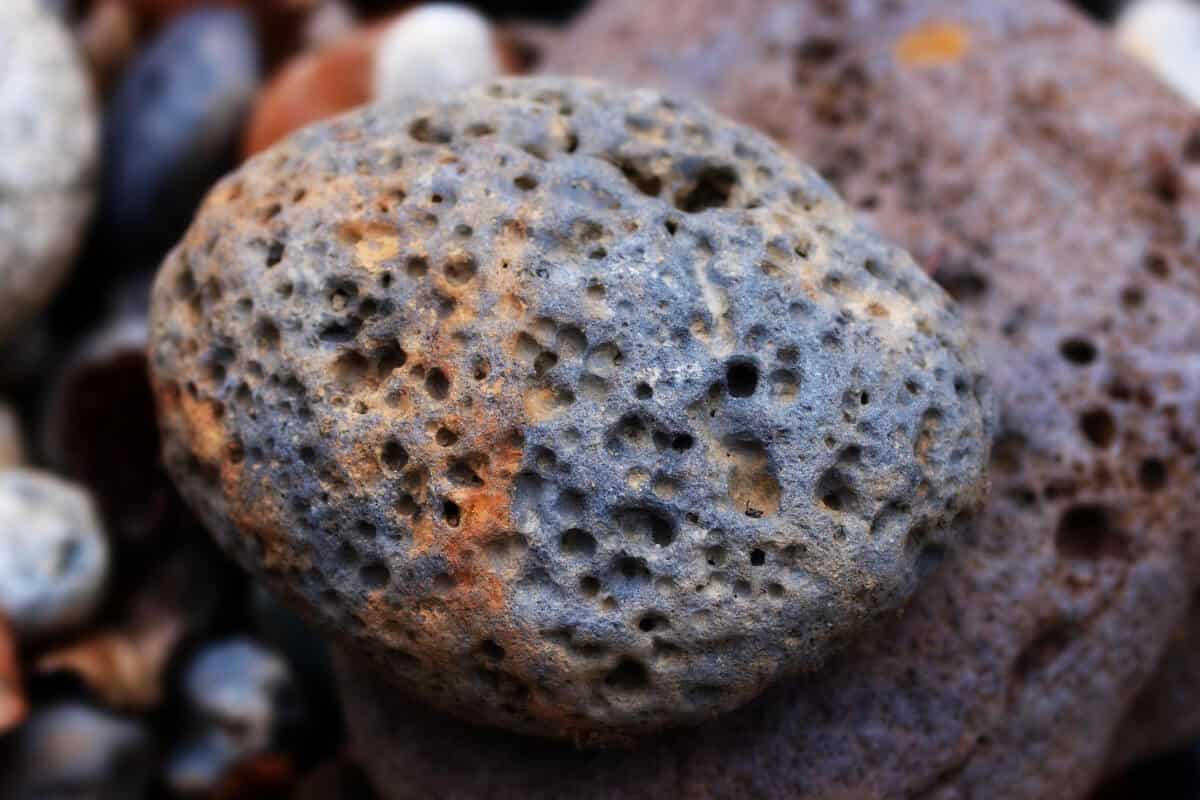 Guide to Using Lava Rocks in Hydroponics Smart Garden and Home