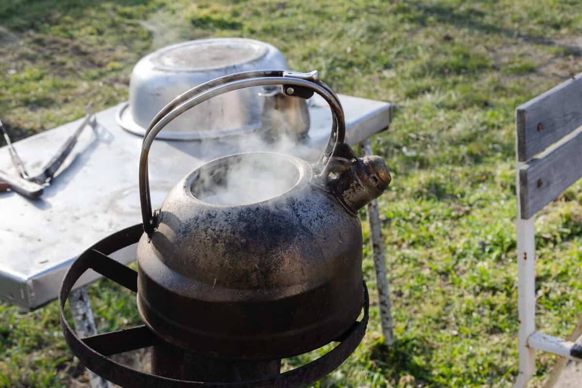 How to Get Rid of Ants in Raised Garden Bed Smart Garden and Home