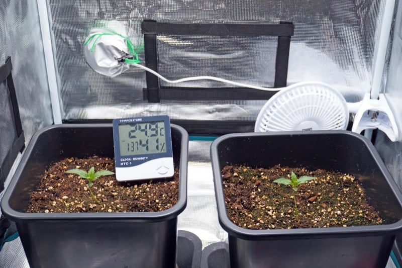 How to Control Humidity in a Grow Tent Smart Garden and Home