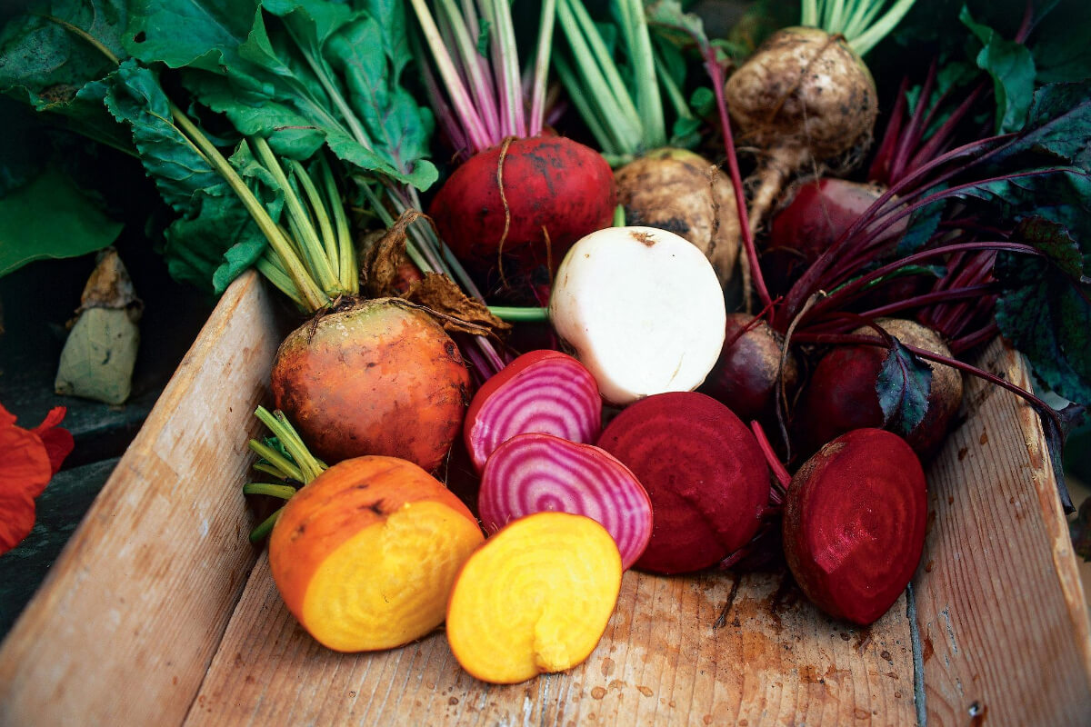 Do You Need Special Seeds for Hydroponics? Smart Garden and Home