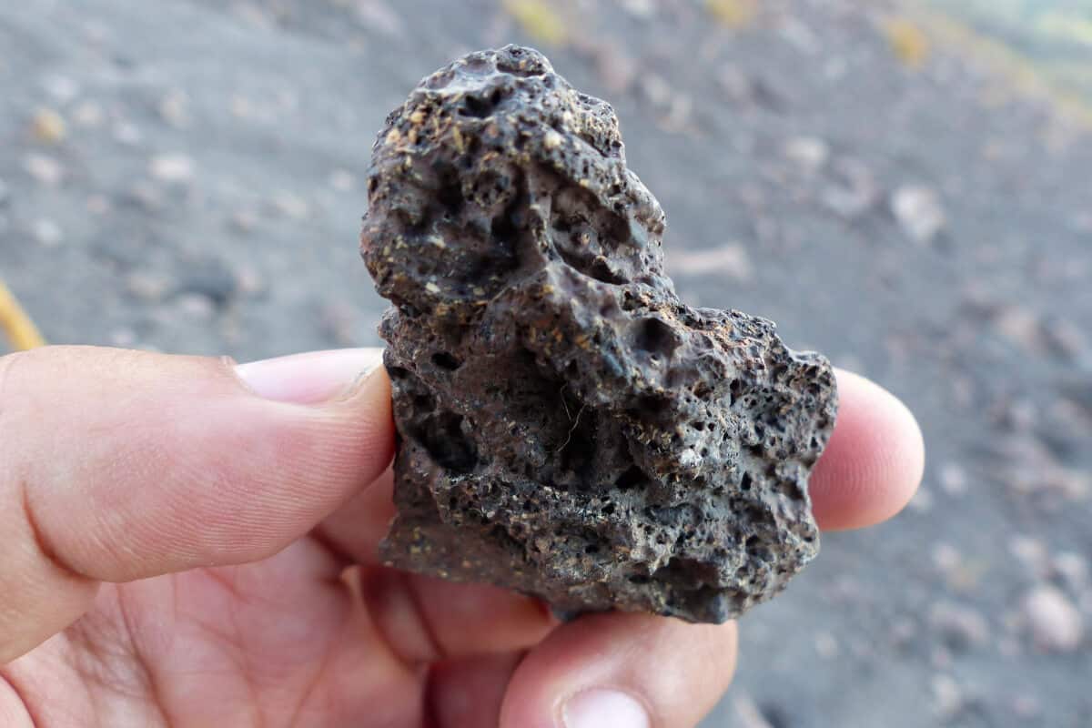 Guide to Using Lava Rocks in Hydroponics Smart Garden and Home