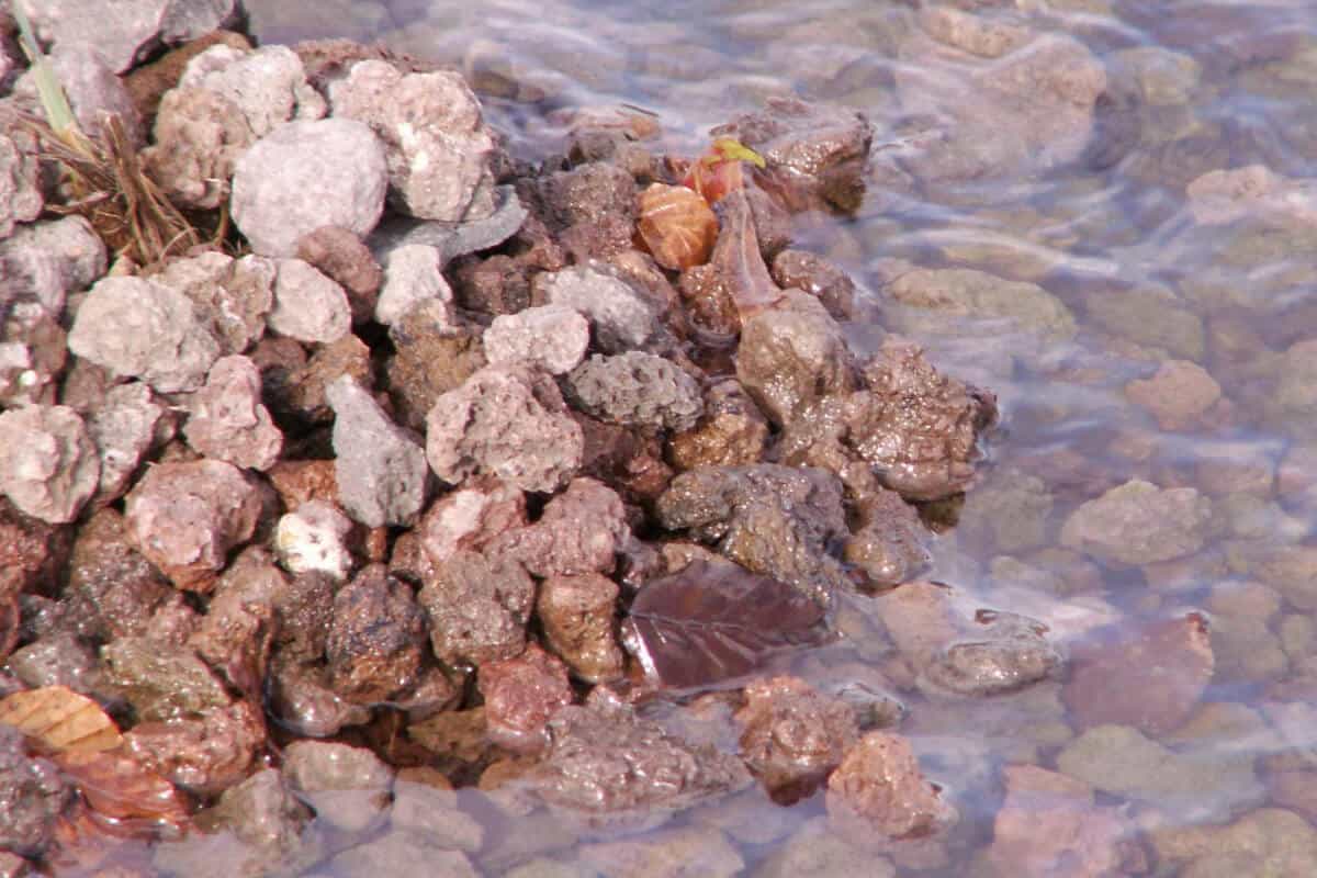 Guide to Using Lava Rocks in Hydroponics Smart Garden and Home