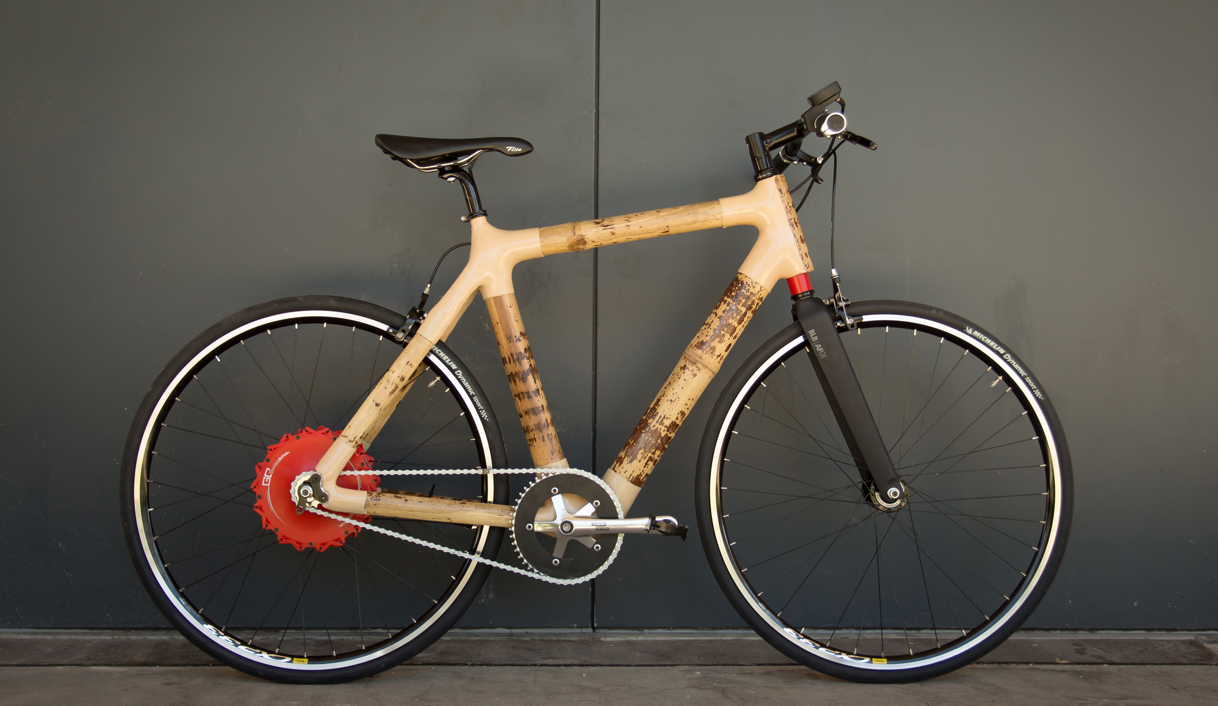 Bamboo EBike Smart Grass Bicycles