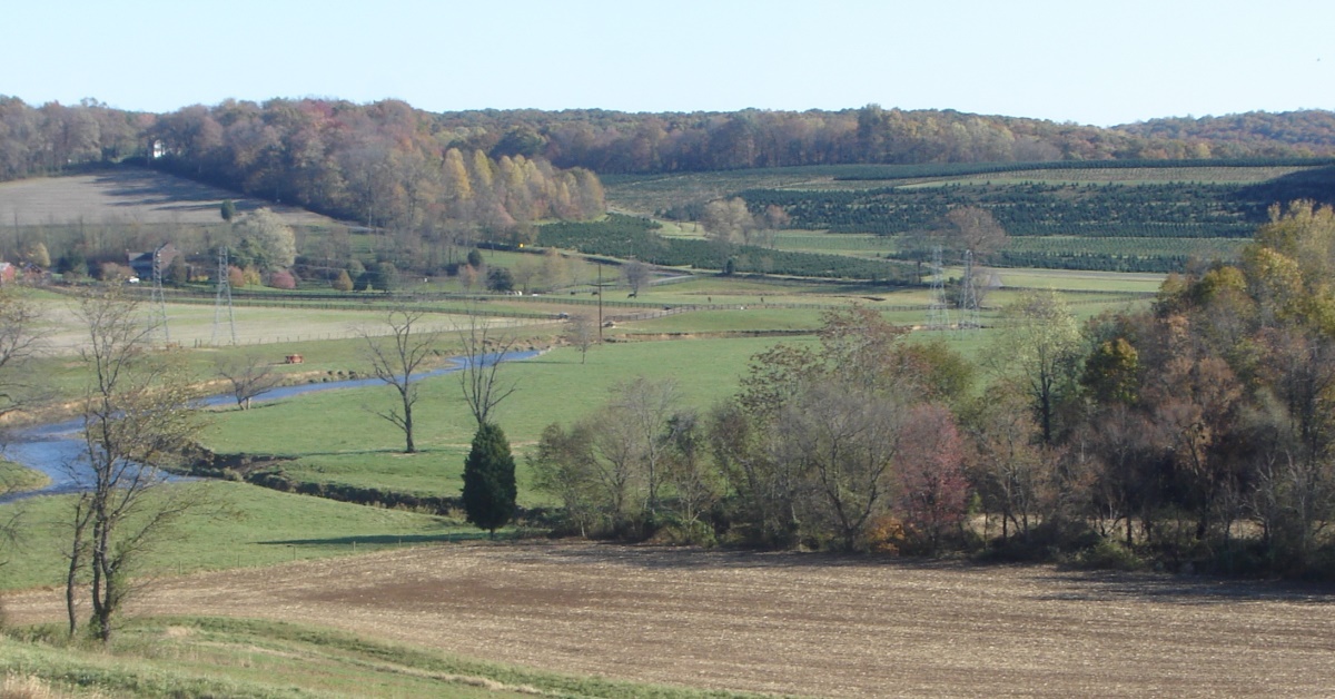 Please Help Marylanders Replace Their Stolen EBT Benefits Maryland