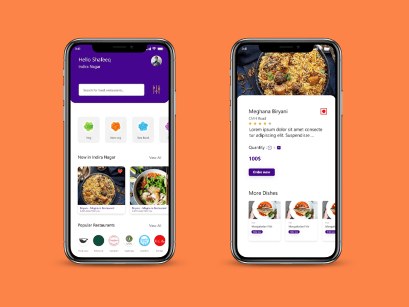 How to start online food ordering and delivery app business like