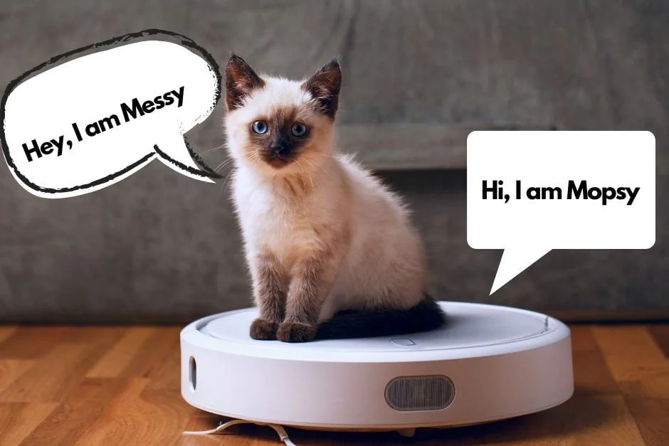 Funniest Roomba Names List (Cute, Clever & Offensive Ideas)