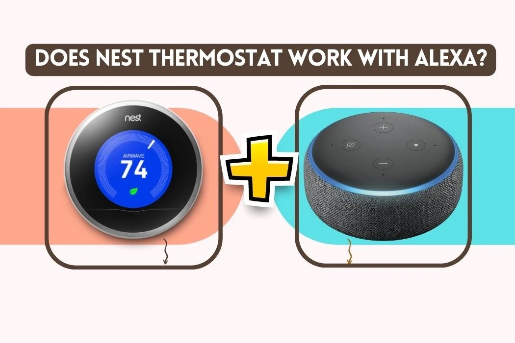 Does Nest Thermostat Work With Alexa? Let's Find Out!
