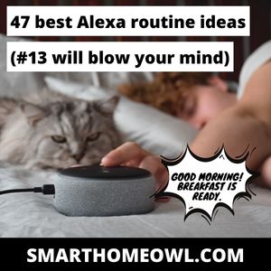 47 Best Alexa Routine Ideas (#13 Will Blow Your Mind) – SmartHomeOwl