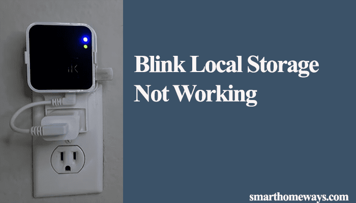 Blink Local Storage Not Working -(7 Quick Solutions To TRY)