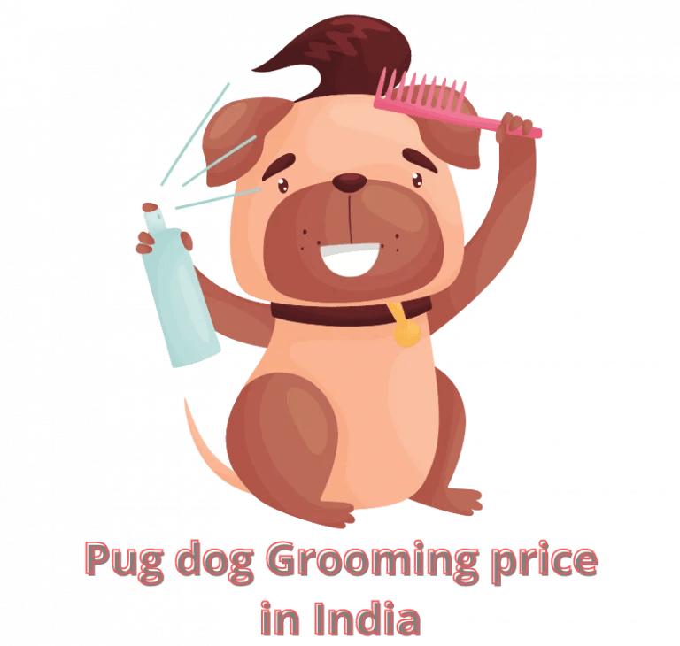 Pug Dog Price in India Feeding Cost Latest Updated