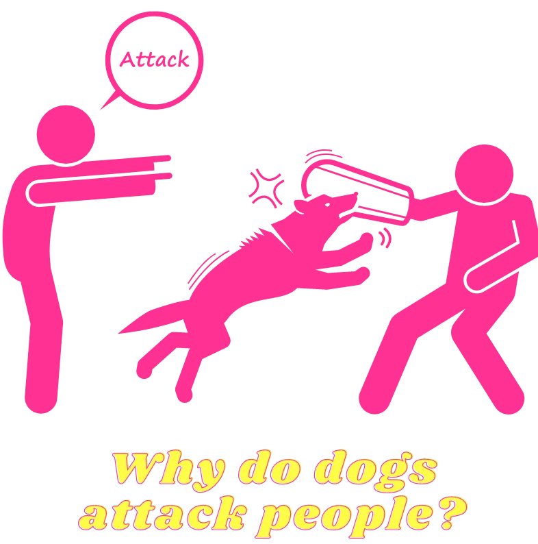 Dog Bite Lawyers Helps Injured Victims Filing Lawsuits