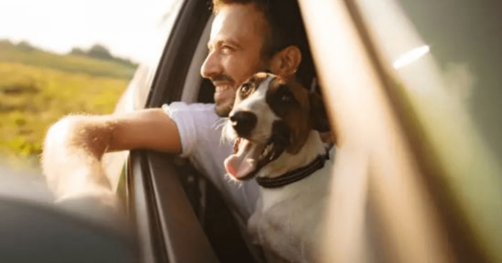 Commuter vs Pleasure Car Insurance Smart Insurance Tips