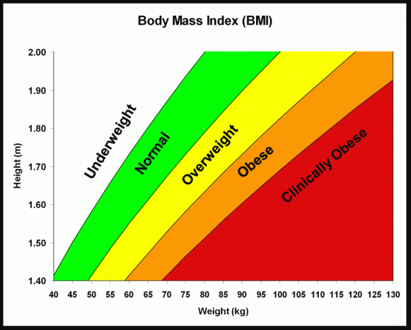 Blog BMI calculator Smartkela Guest posting, blogging