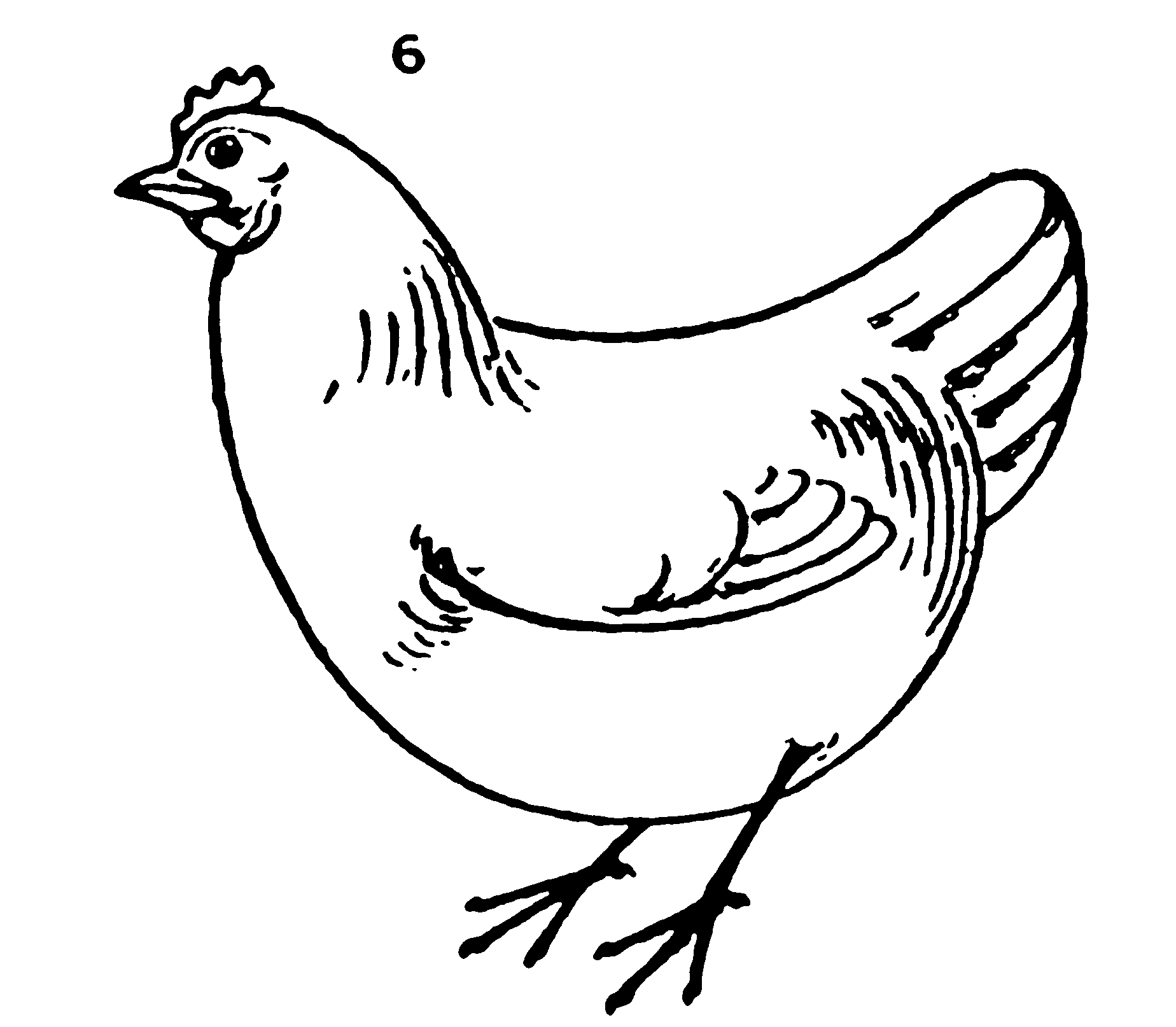 How to draw a Chicken step by step Drawing for beginners Smart Kids 123