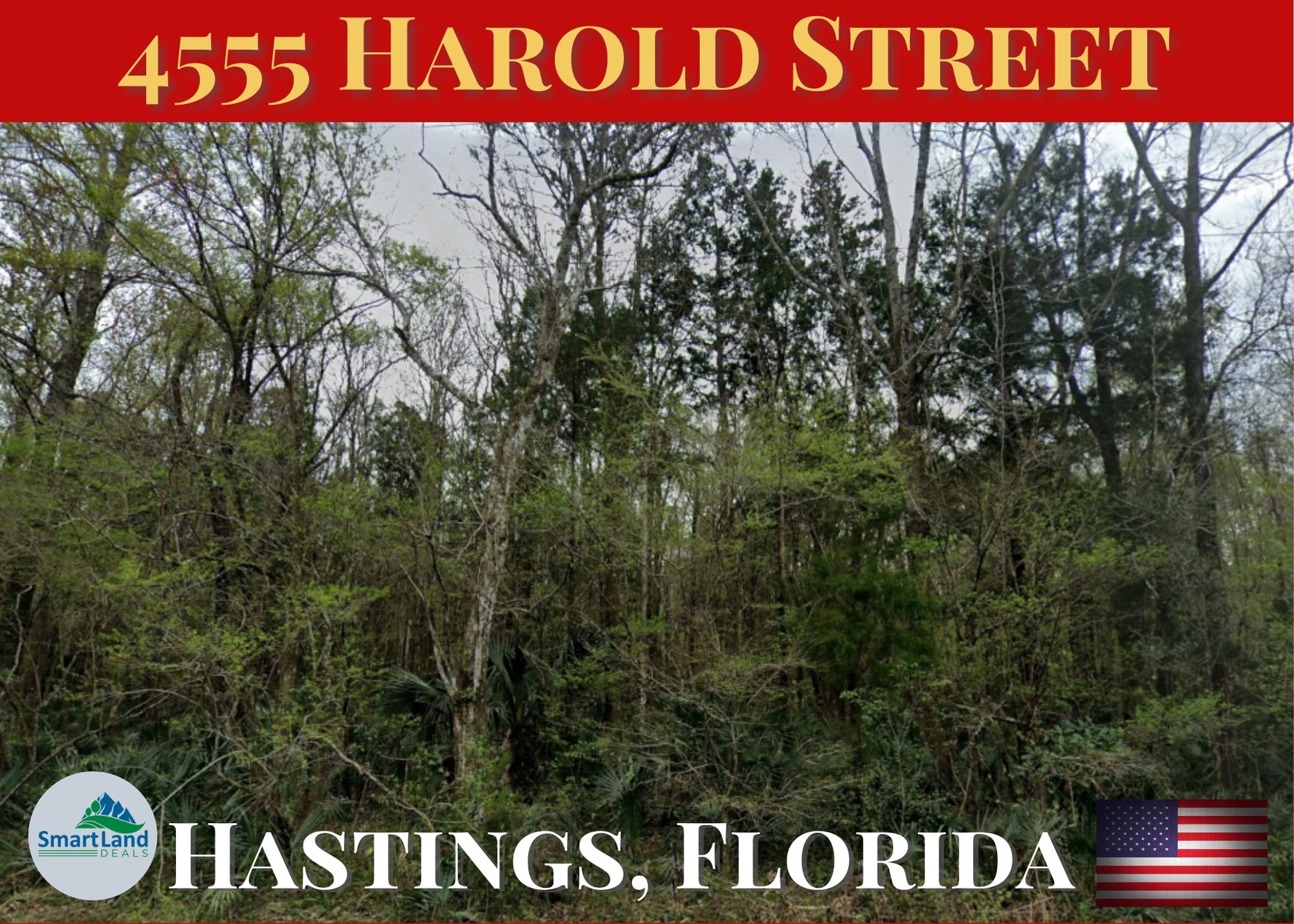 Smart Land Deals — Vacant Rural Land at Wholesale Prices