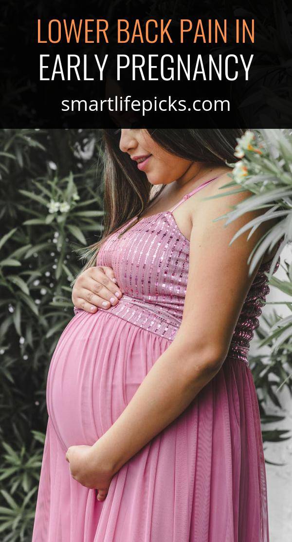 Lower Back Pain in Early Pregnancy Smart Life Picks