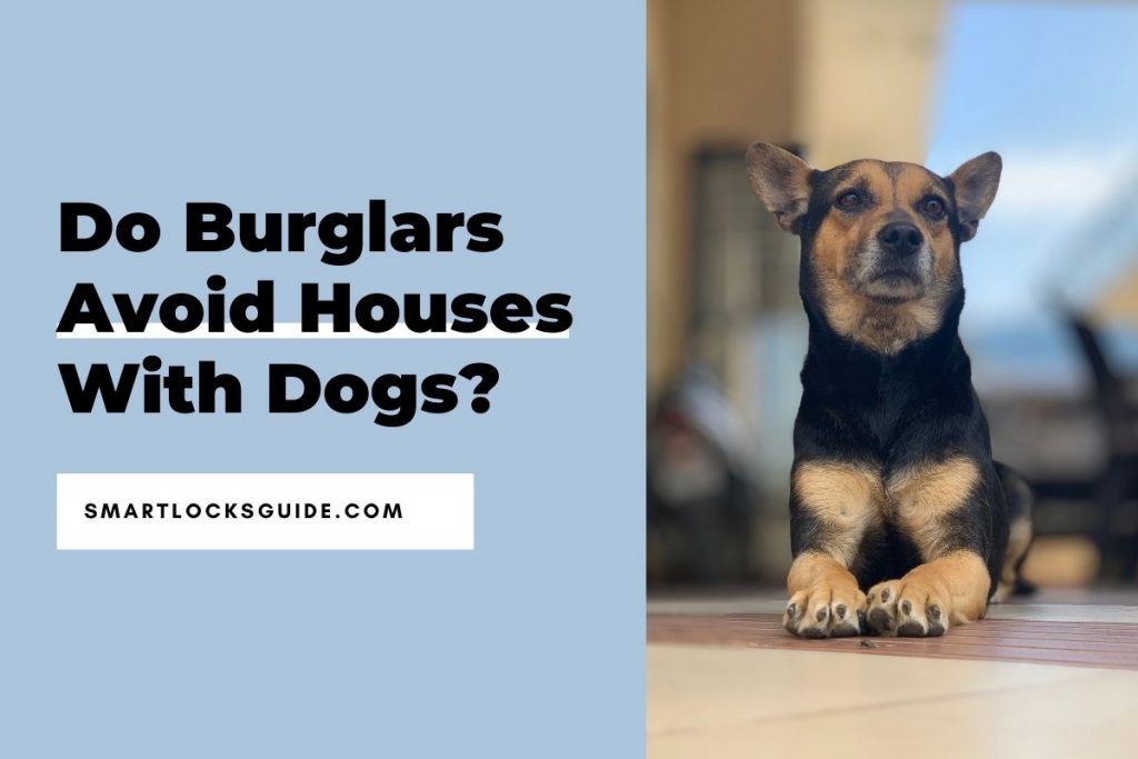 Do Burglars Avoid Houses With Dogs? (Surprising Truth) Smart Locks Guide