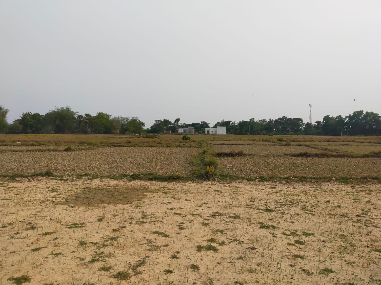 SMART PROPERTY REALESTATE One of the leading Property Consultants in Balasore, Odisha