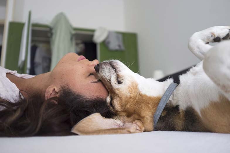 Why Does My Dog Sleep on My Head? Smart Sleeping Tips