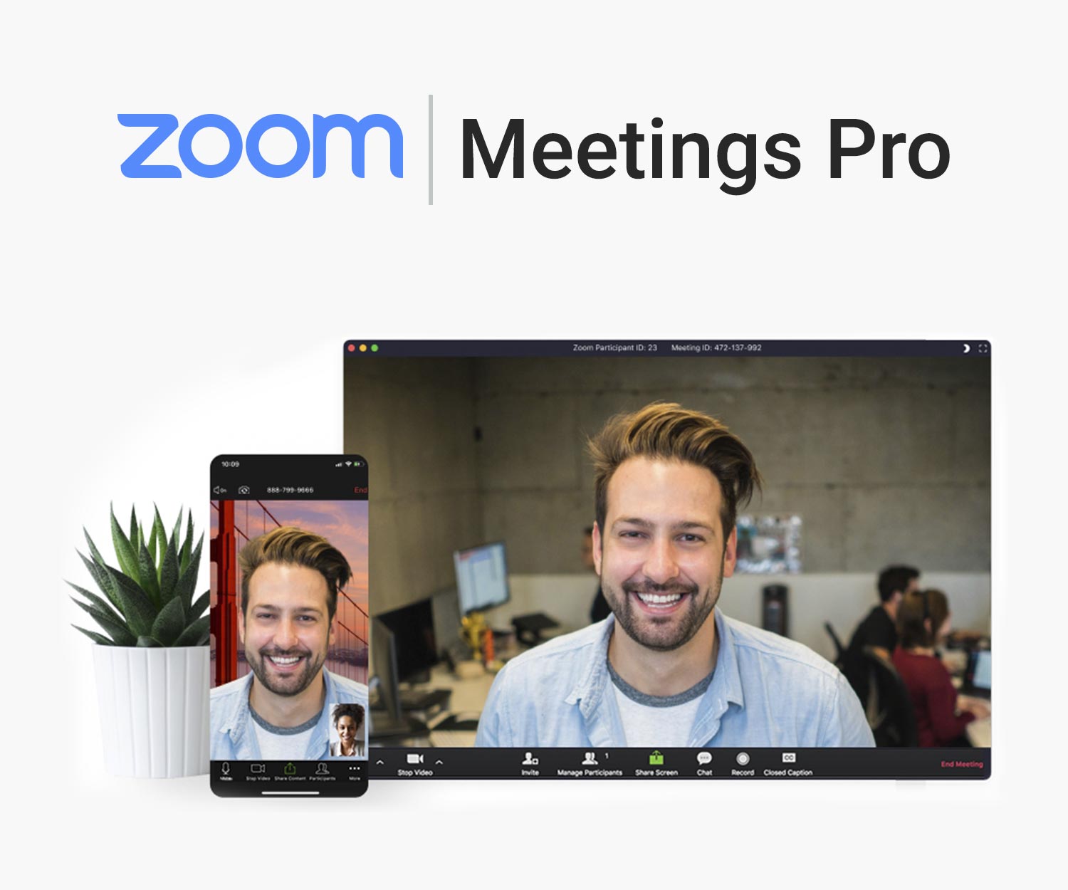 Zoom Meetings Pro