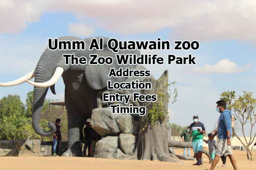 Umm Al Quawain ZooThe Zoo Wildlife ParkZoo In UAE