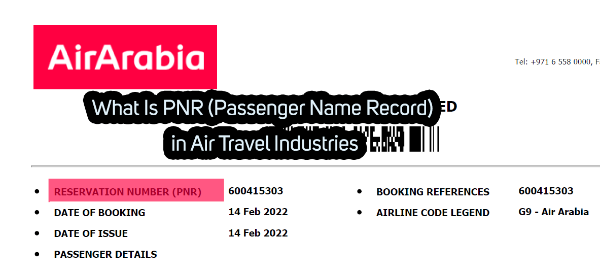 What Is PNR (Passenger Name Record) in Air Travel Industries