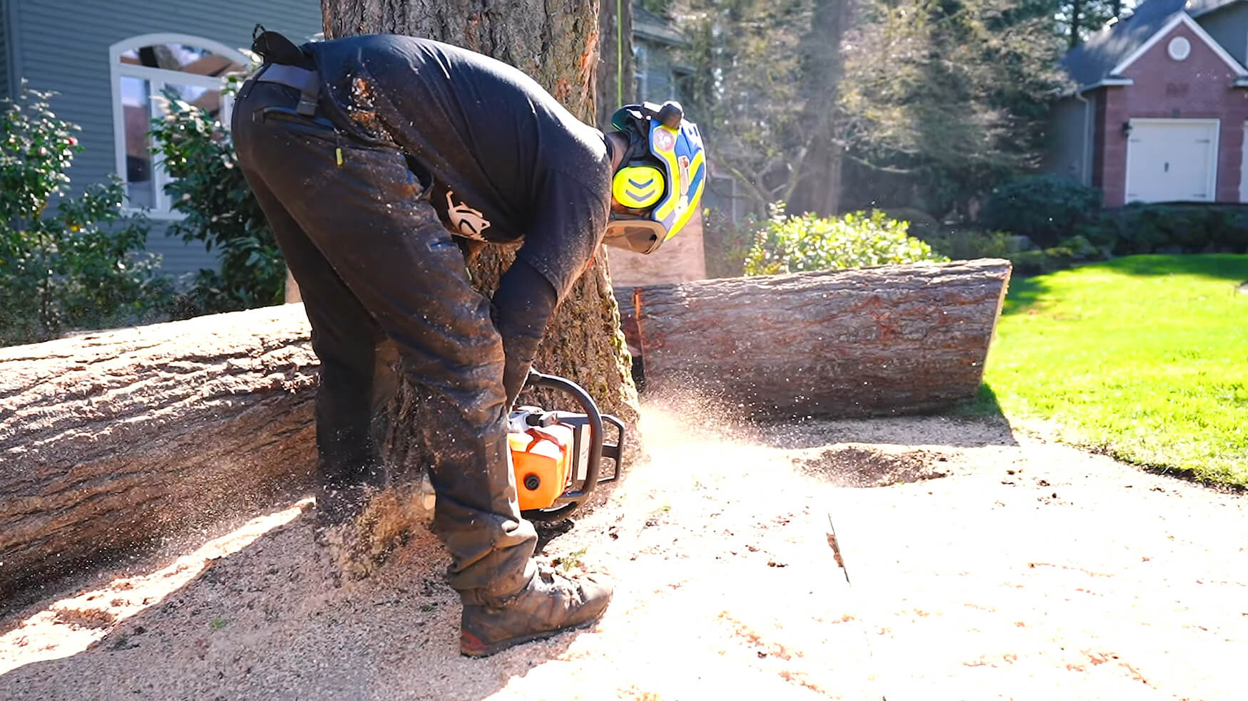 Lake Oswego Tree Removal Fine at Annie Palacios blog