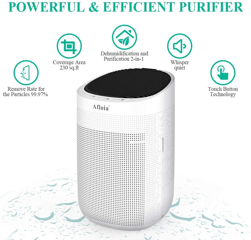 Dehumidifier Air Purifier Combo Smart Vac Guide