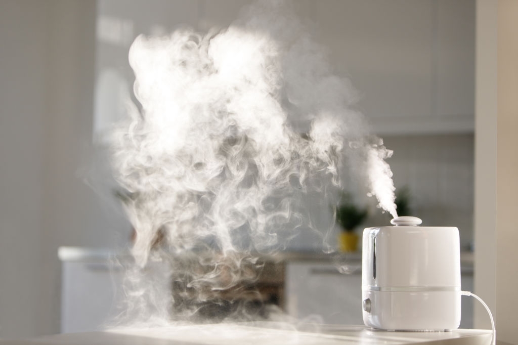 Cool Mist vs Warm Mist Humidifier Which is Better Buyer’s Guide