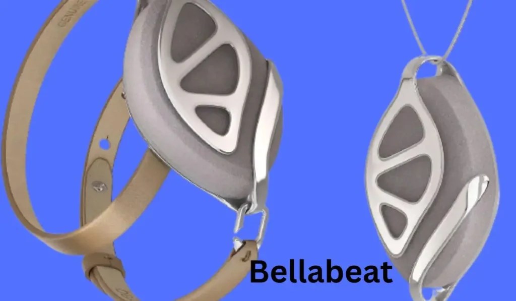 Bellabeat Vs Fitbit The Ultimate Comparison In 2025(01)