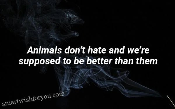 quotes about hating someone Quotes About Hating Someone You Used To Love | Wishes