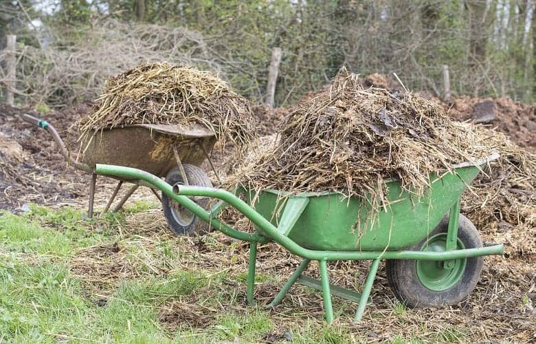 Manure Vs. CompostWhich One is the Best for your Garden? Smart Yard