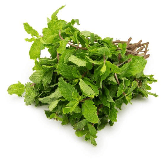 Mint Leaves (Pudina) Smartyield.in