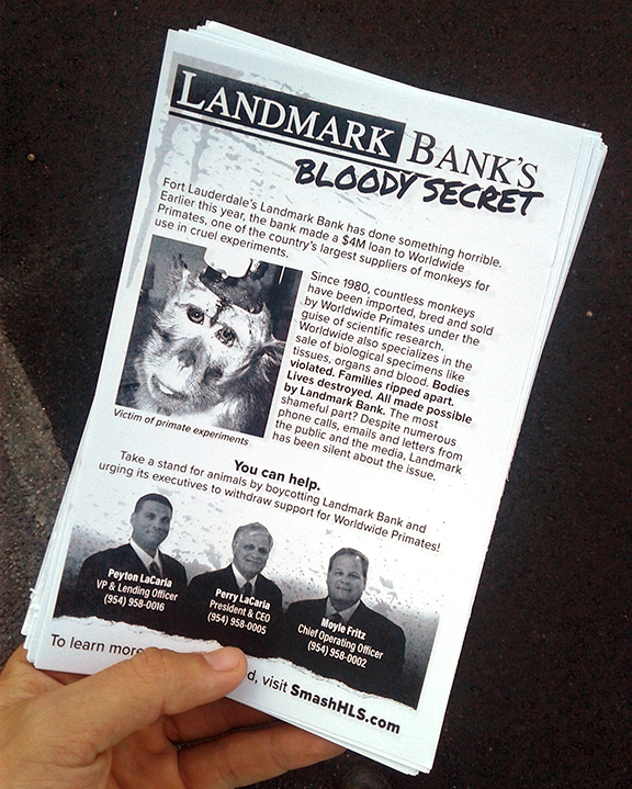 Pressure Mounts on Landmark Bank with BackToBack Protests South