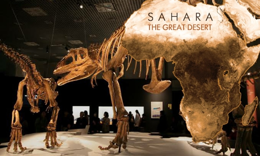 The Sahara around 100 million years ago was considered the most