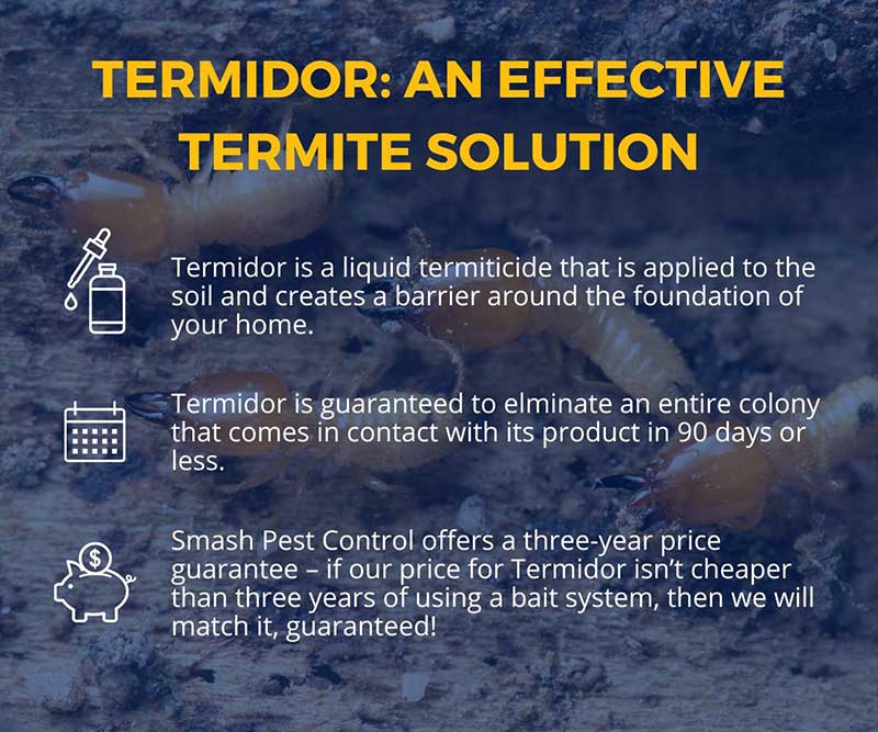 Termite Control White House TN Smash Pest Control