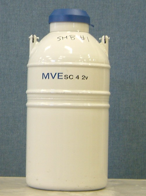 Testing DryShipping Dewars