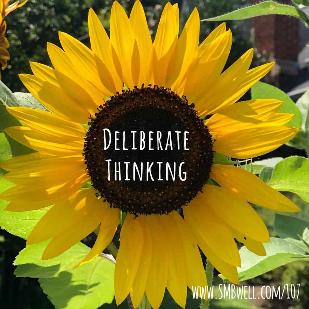 Deliberate Thinking Susie Pettit