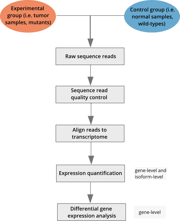 Nextgeneration Sequence Analysis Differential Gene Expression Analysis